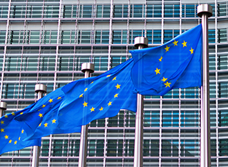 A building and the EU flags