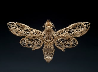 Butterfly artwork made from bones