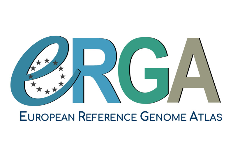 ERGA - Logo