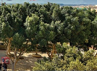 The Quadrangle at UM - STEMConnecting - Malta Chamber of Scientists