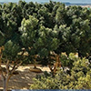 The Quadrangle at UM - STEMConnecting - Malta Chamber of Scientists