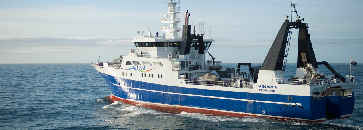 University Of Malta Expedition To Explore Seafloor Offshore New - scientists from the marine geology seafloor surveying group of the university of malta will set out on a 2 month expedition in new zealand to investigate