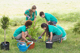 A group of young people planting a tree