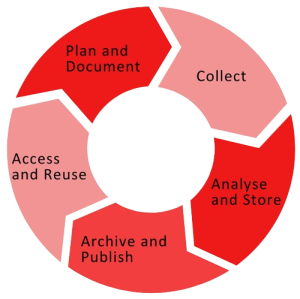 Research data lifecycle