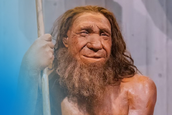 photo of neandertal