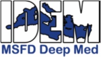 IDEM_Logo