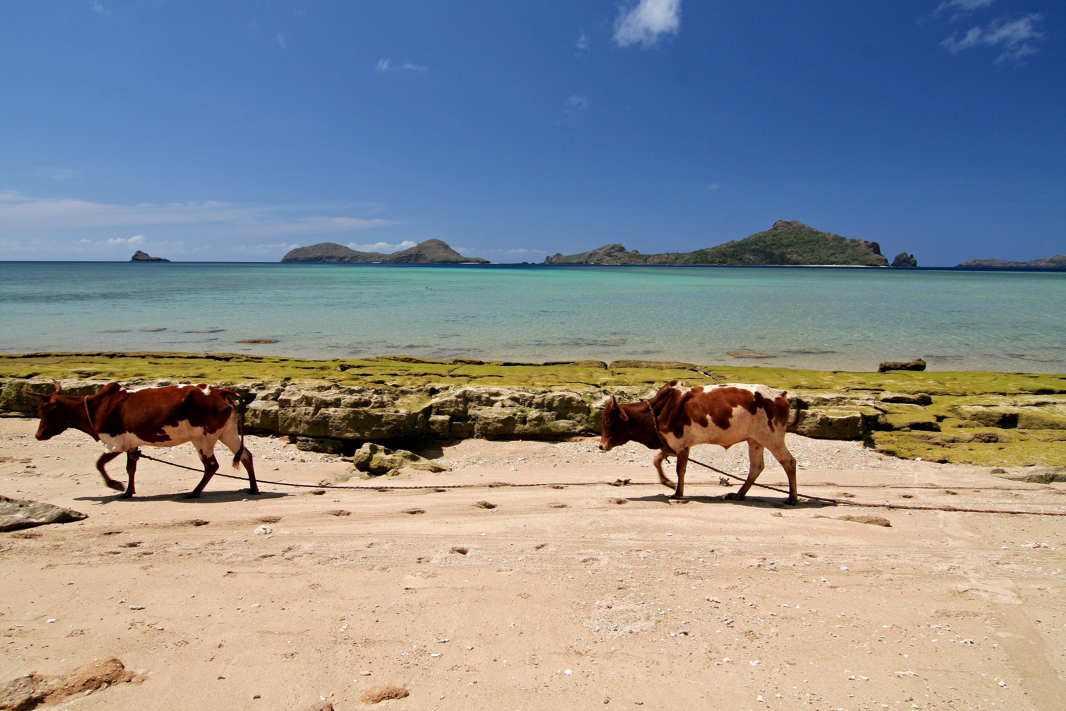 Comoros