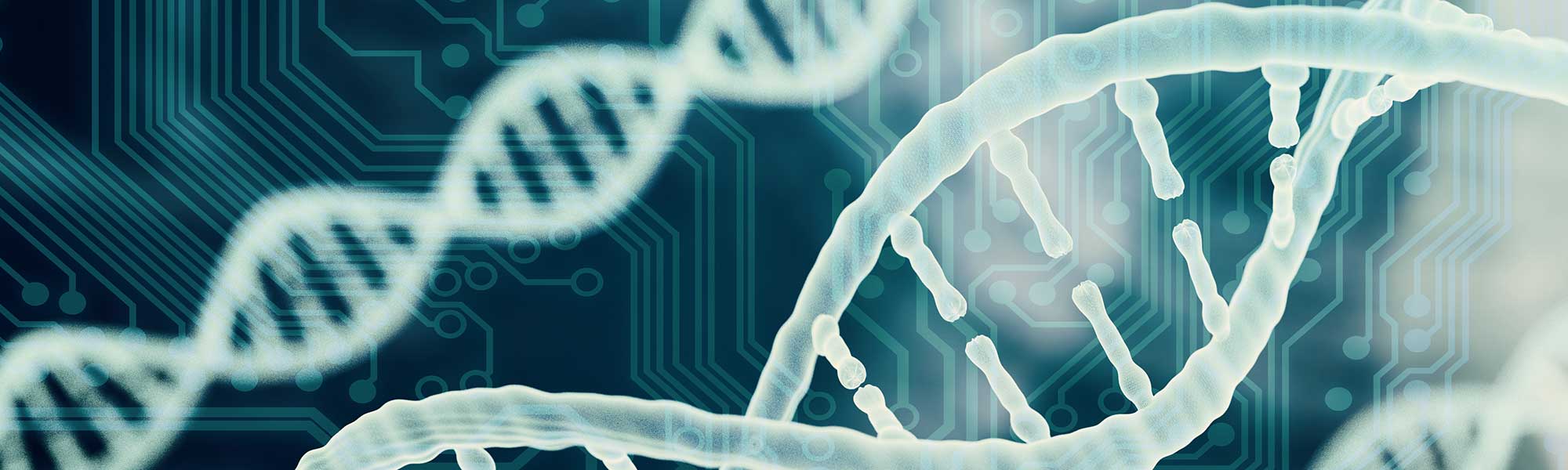 Bioinformatics concept of DNA and circuit board