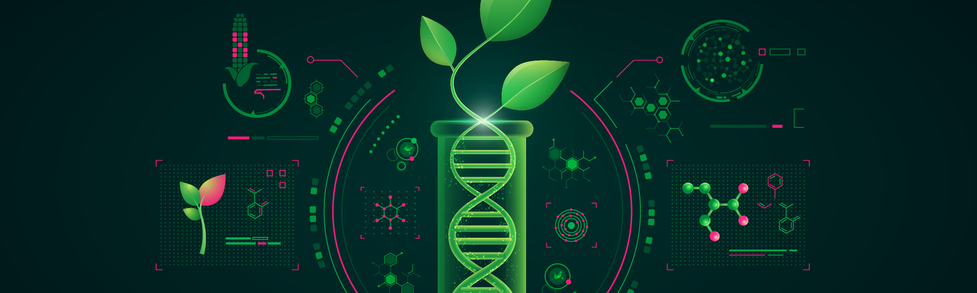Concept of green biotechnology or synthetic biology, graphic of plant combined with DNA shape